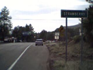 Strawberry/Arizona...