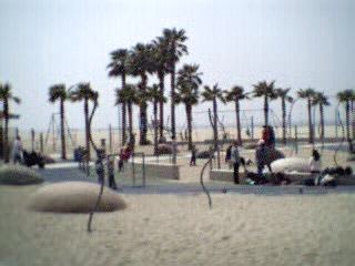 Venice beach...
